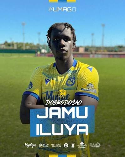 Jamu Iluya